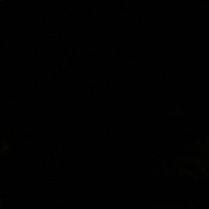 Meet your Posher, Rodrigo